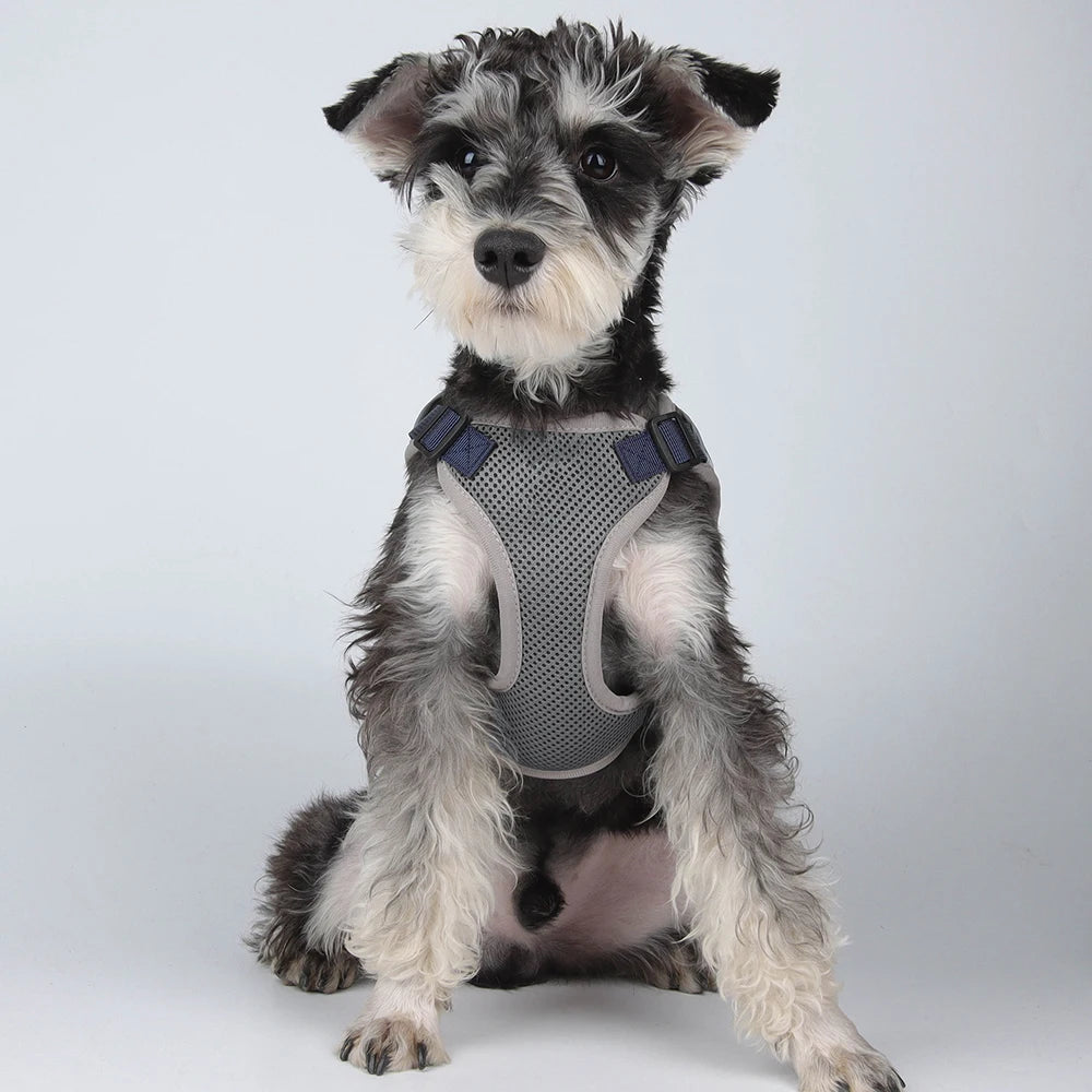 Soft Mesh Dog Harness and Leash Set - Reflective Breathable Vest for Small to Large Dogs - Happy Tail Center