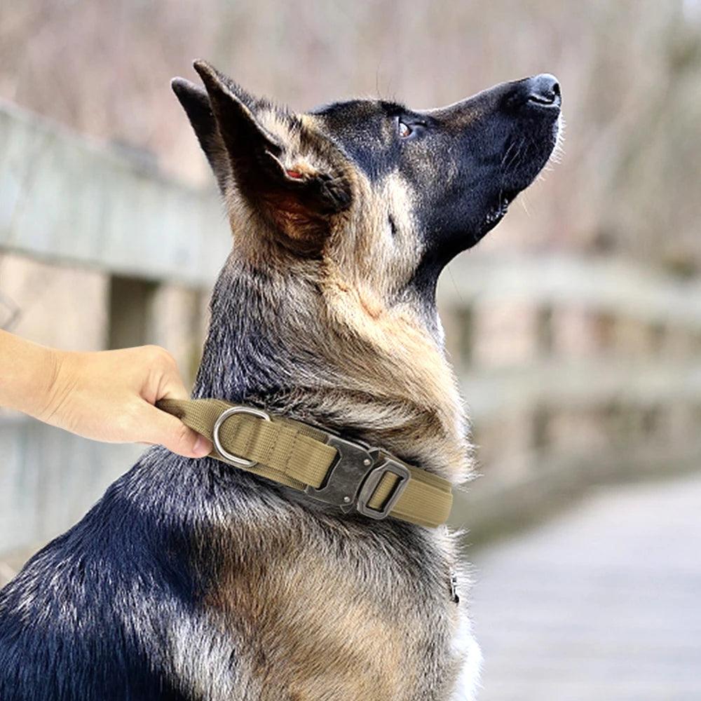 Durable Nylon Tactical Dog Collar for Large Breeds | Strong Collar & Bungee Leash Set - Happy Tail Center