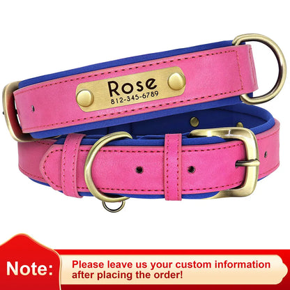 Soft Padded Leather Dog Collar with Custom ID Nameplate: Free Engraving - View 10 - Happy Tail Center