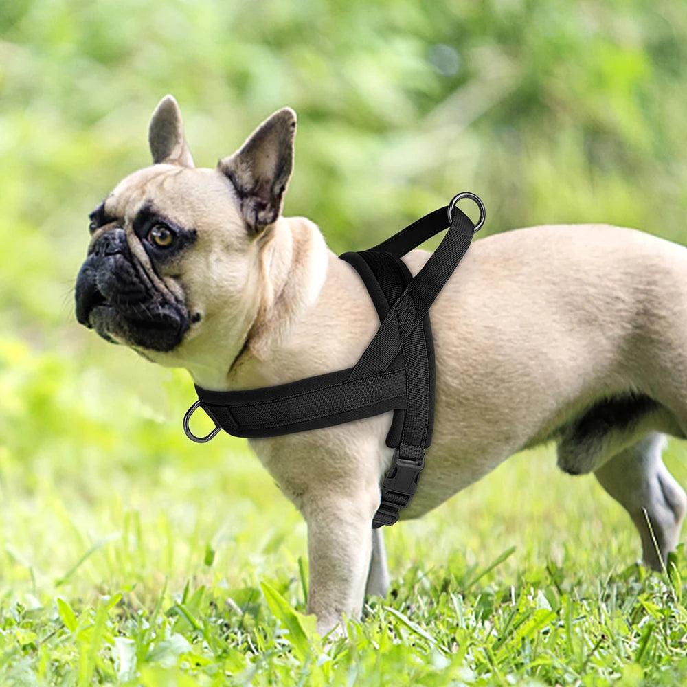 Adjustable Soft No-Pull Dog Harness | Padded Nylon Vest for Small to Medium Breeds - Happy Tail Center