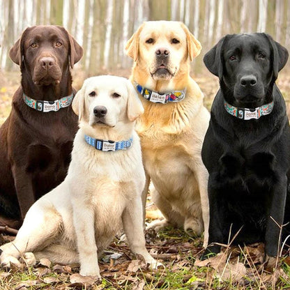 Buckle-Engraved Nylon Dog Collar: Personalized Safety for Your Pet - View 3 - Happy Tail Center