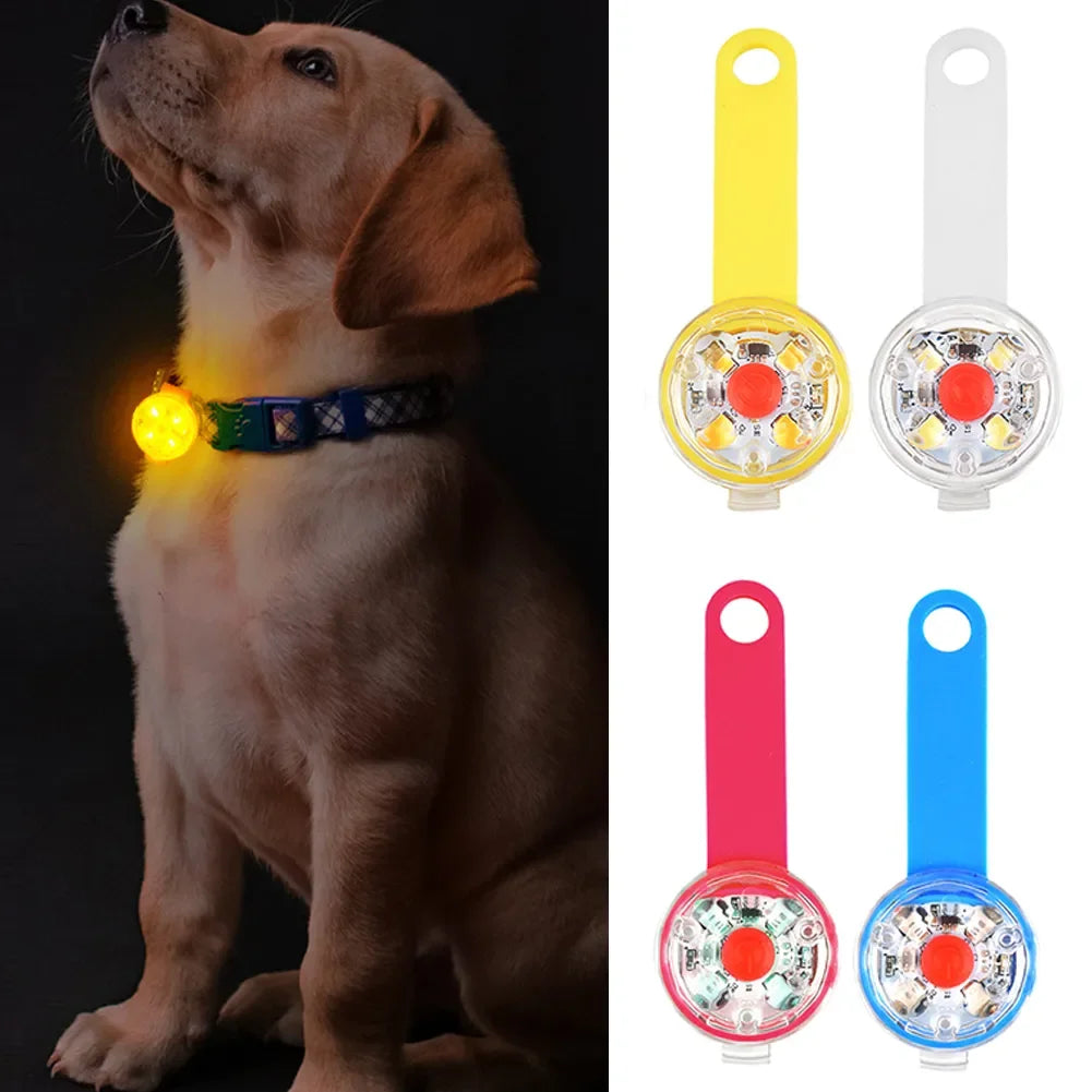 LED Waterproof Safety Collar - USB Rechargeable Anti-Loss Flashing Light for Dogs and Cats