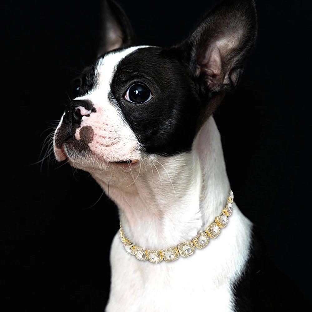 Luxury Bling Diamond Dog & Cat Chain Collar – Sparkle in Style! - Happy Tail Center