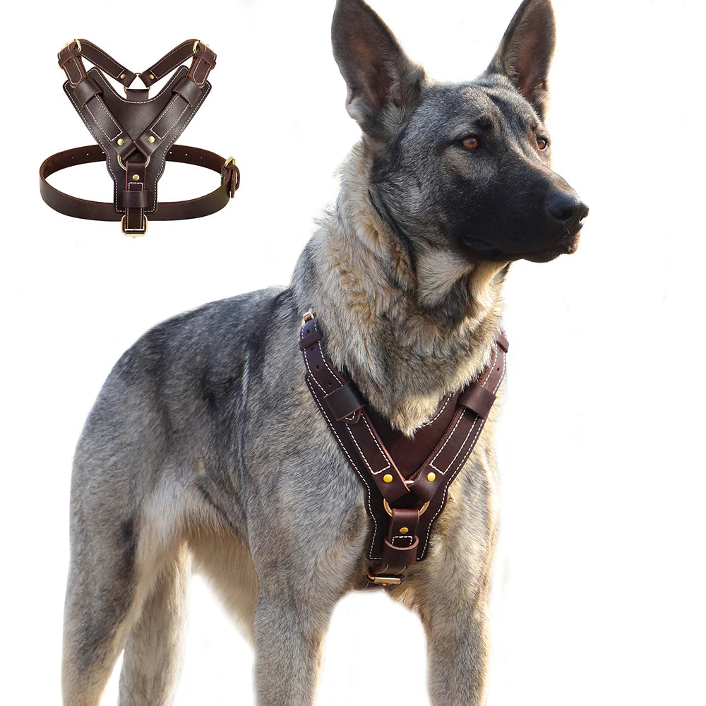 Durable Genuine Leather Dog Harness - Adjustable Vest for Large Dogs - Ideal for German Shepherd, Labrador, Husky - Walking and Training - Happy Tail Center