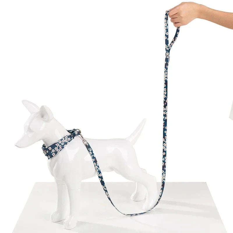 Floral Pet Leash - Premium Quality and Stylish Design for Small to Medium Pets