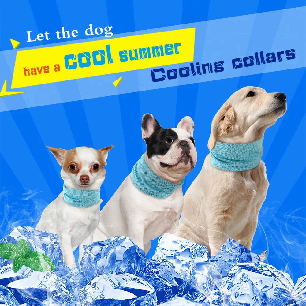 Cooling Dog Collar - Instant Ice Pet Bandana for Small Dogs, Chihuahua, French Bulldog