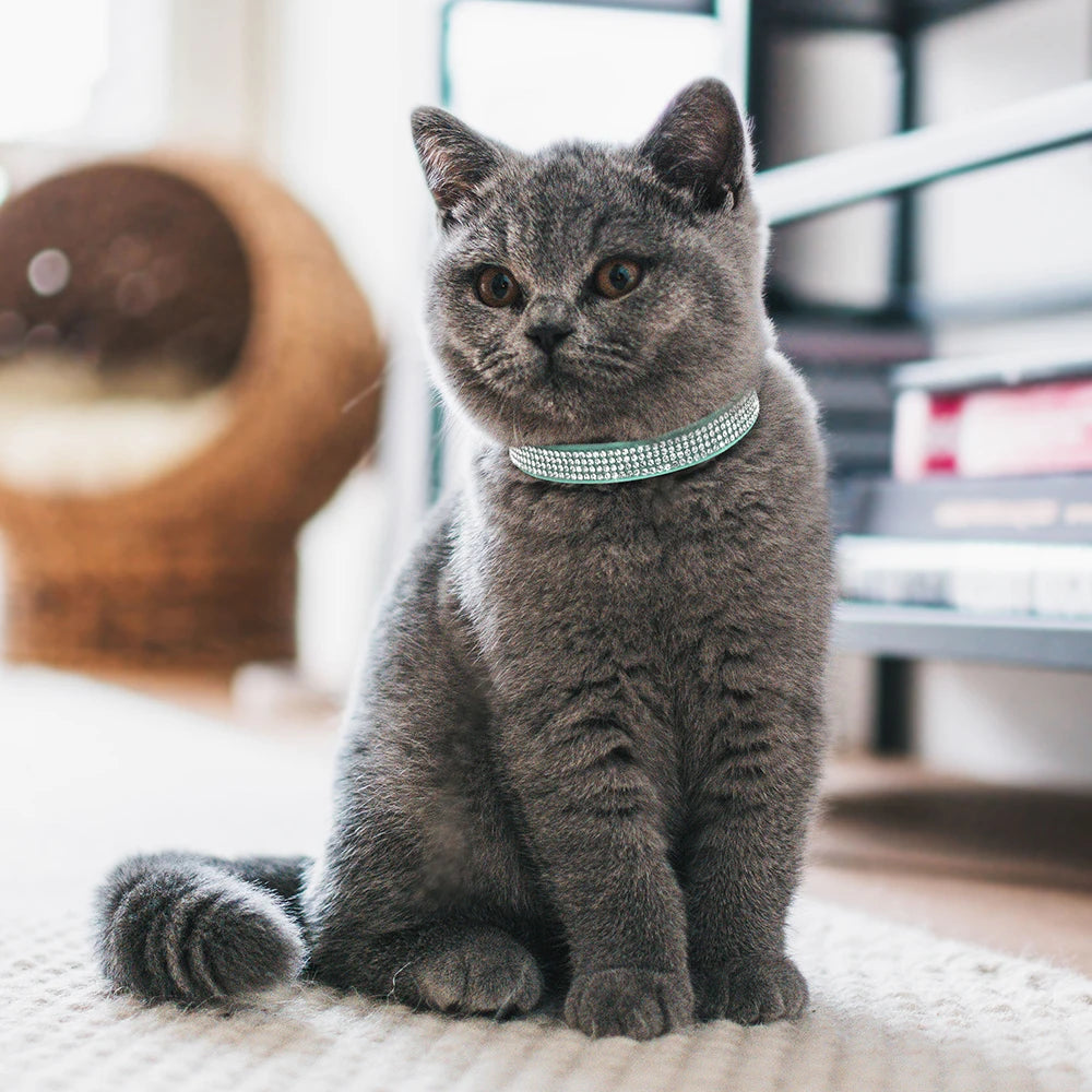 Soft Suede Leather Cat Collar - Bling Rhinestone with Bell, Breakaway