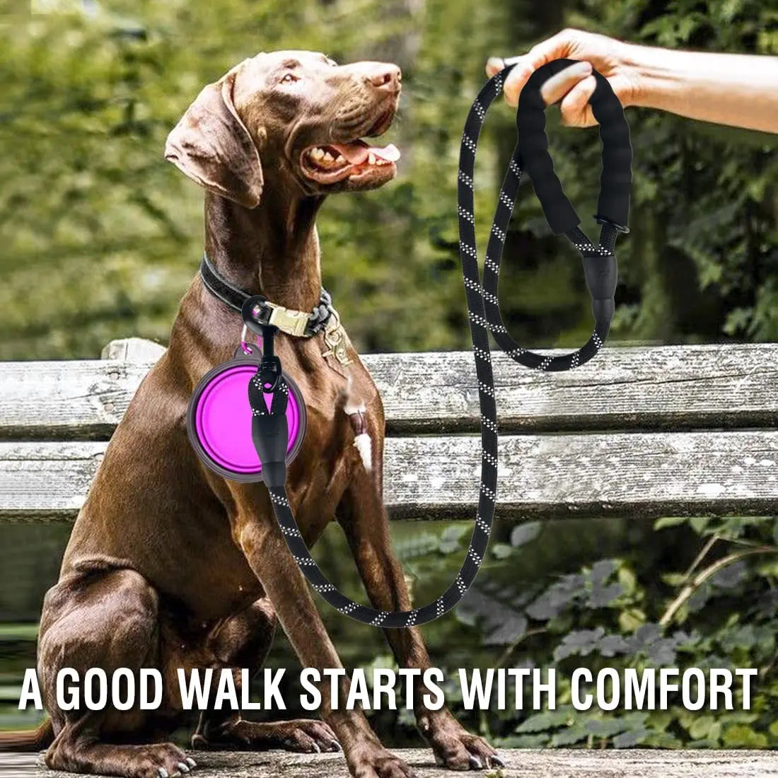 Reflective Nylon Harness for Small, Medium, and Large Dogs