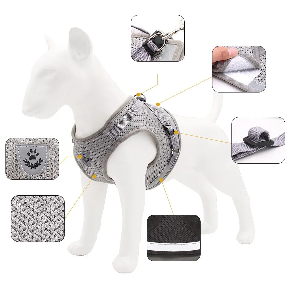 Quality Dog Harness and Leash Set - Perfect for Small and Medium Dogs - French Bulldog, Pug Pet Supplies - Happy Tail Center