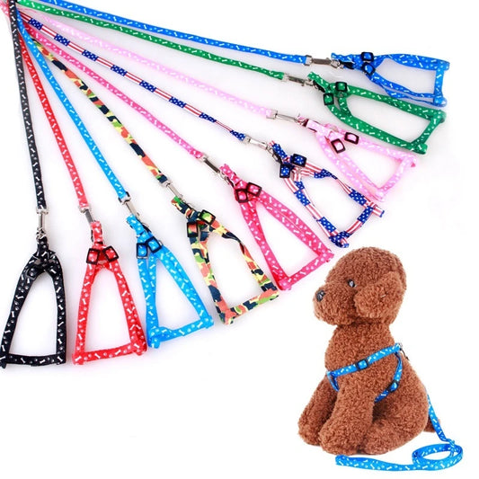 Cute Small Dog Leash and Harness Set – Puppy Lead Rope for Cats and Kittens - Happy Tail Center