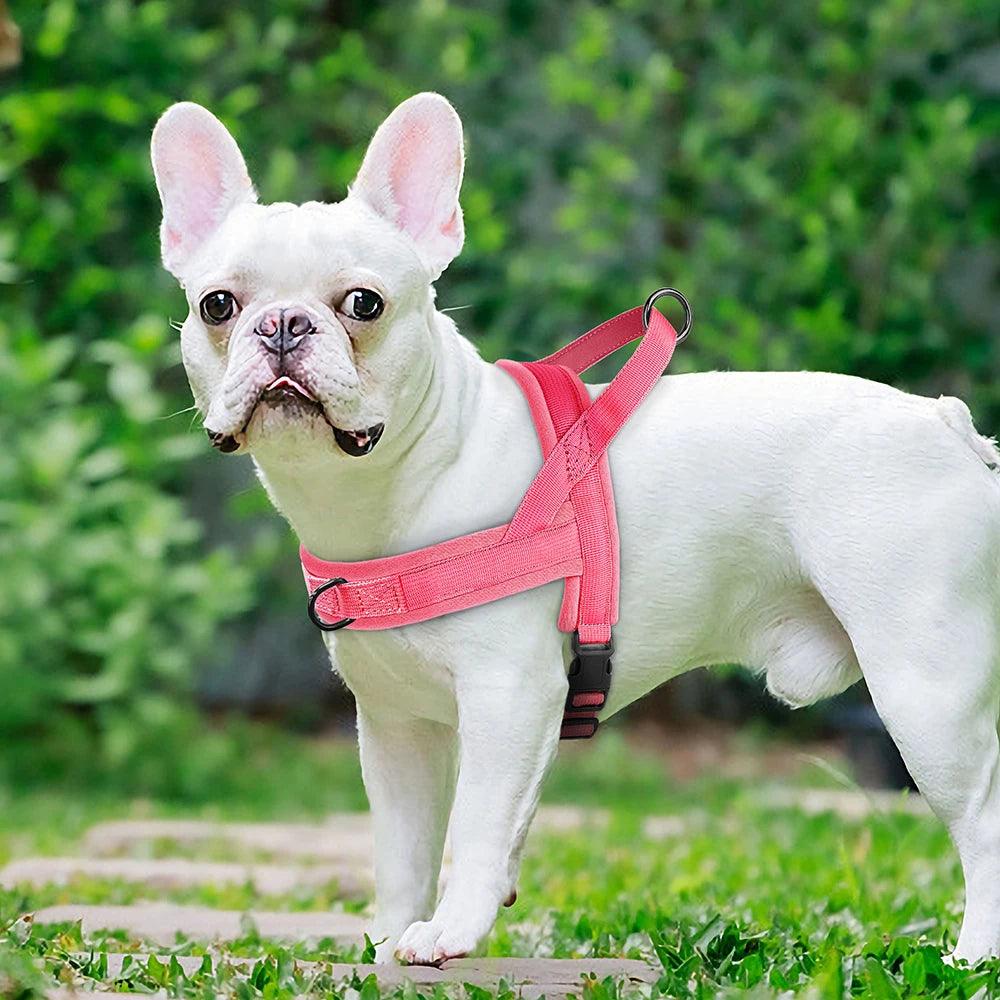 Adjustable Soft No-Pull Dog Harness | Padded Nylon Vest for Small to Medium Breeds - Happy Tail Center