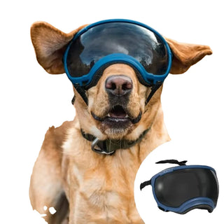 Anti-UV Impact-Resistant Protective Dog Goggles for Medium & Large Breeds