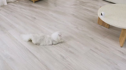 Rechargeable Motion-Activated Automatic Laser Enrichment Toy for Cats & Dogs