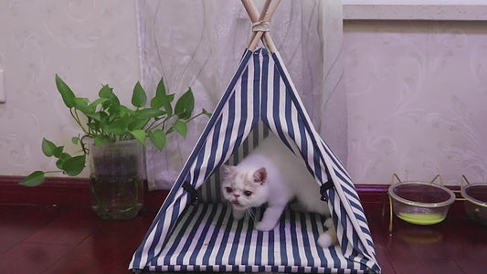 ChicPet Tent Nest Bed - Stylish Retreat for Your Pet