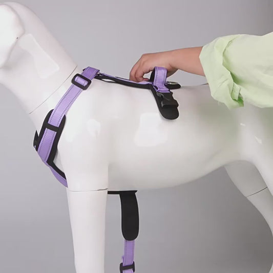 New Reflective Pet Dog Harness - Comfort and Safety for Your Furry Friend