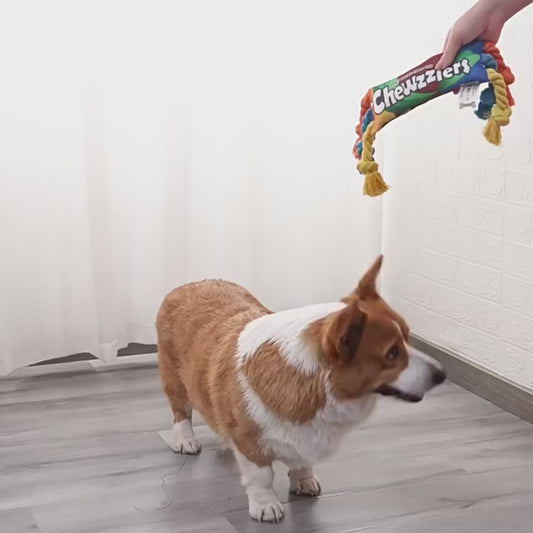 Squeaky Pet Dog Chew Toy - Ideal for Molar Training