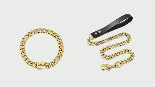 304 Stainless Steel Dog Chain Collar and Leash Set - Strong Metal Collar in Silver and Gold for Party Shows