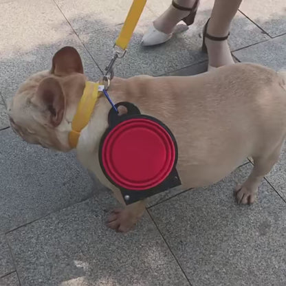 2-in-1 Foldable Dual Feeding Bowl - Portable Travel Bowl for Dogs and Cats