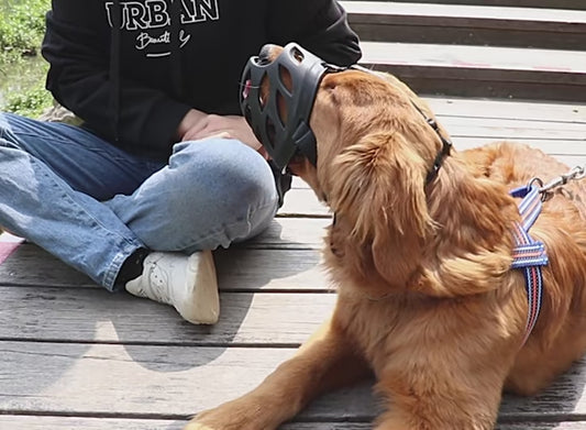 Soft Rubber Dog Muzzle – Anti-Bite, No-Bark Training Mask for All Breeds