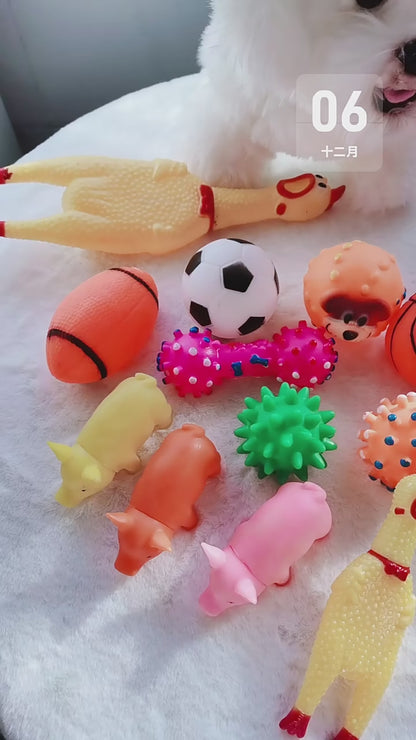 Squeak Dog Toy - Diverse and Entertaining Pet Toy Collection