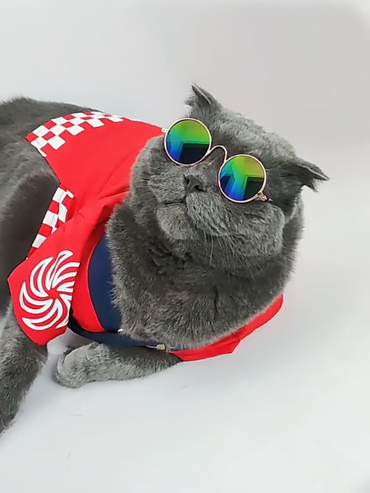 Stylish Pet Glasses - Fashionable Eyewear for Dogs and Cats