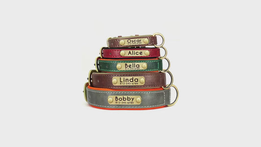 Soft Padded Leather Dog Collar with Custom ID Nameplate: Free Engraving