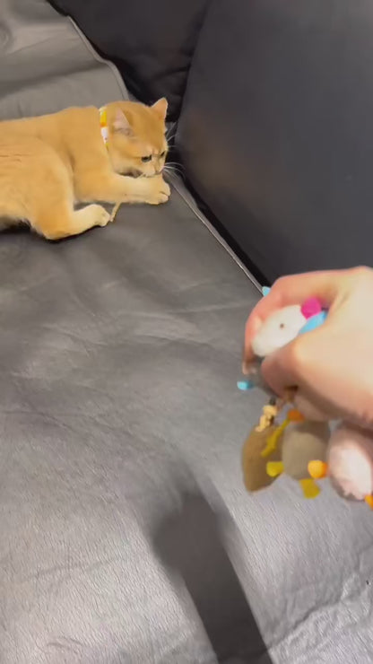 Funny Plush Cat Toy - Interactive Mouse for Kitten Play and Training