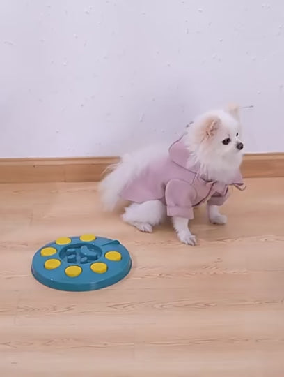 Anti-Bloat Interactive Maze Slow Feeder Bowl for Dogs & Cats