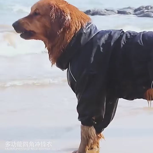 Waterproof Outdoor Jacket for Dogs - Keeping Your Canine Companion Warm and Dry