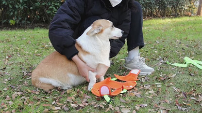Soft Mesh Dog Harness and Leash Set - Reflective Breathable Vest for Small to Large Dogs