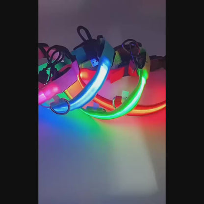 LED Nylon Dog Collar - Night Safety Light-Up Collar for Dogs